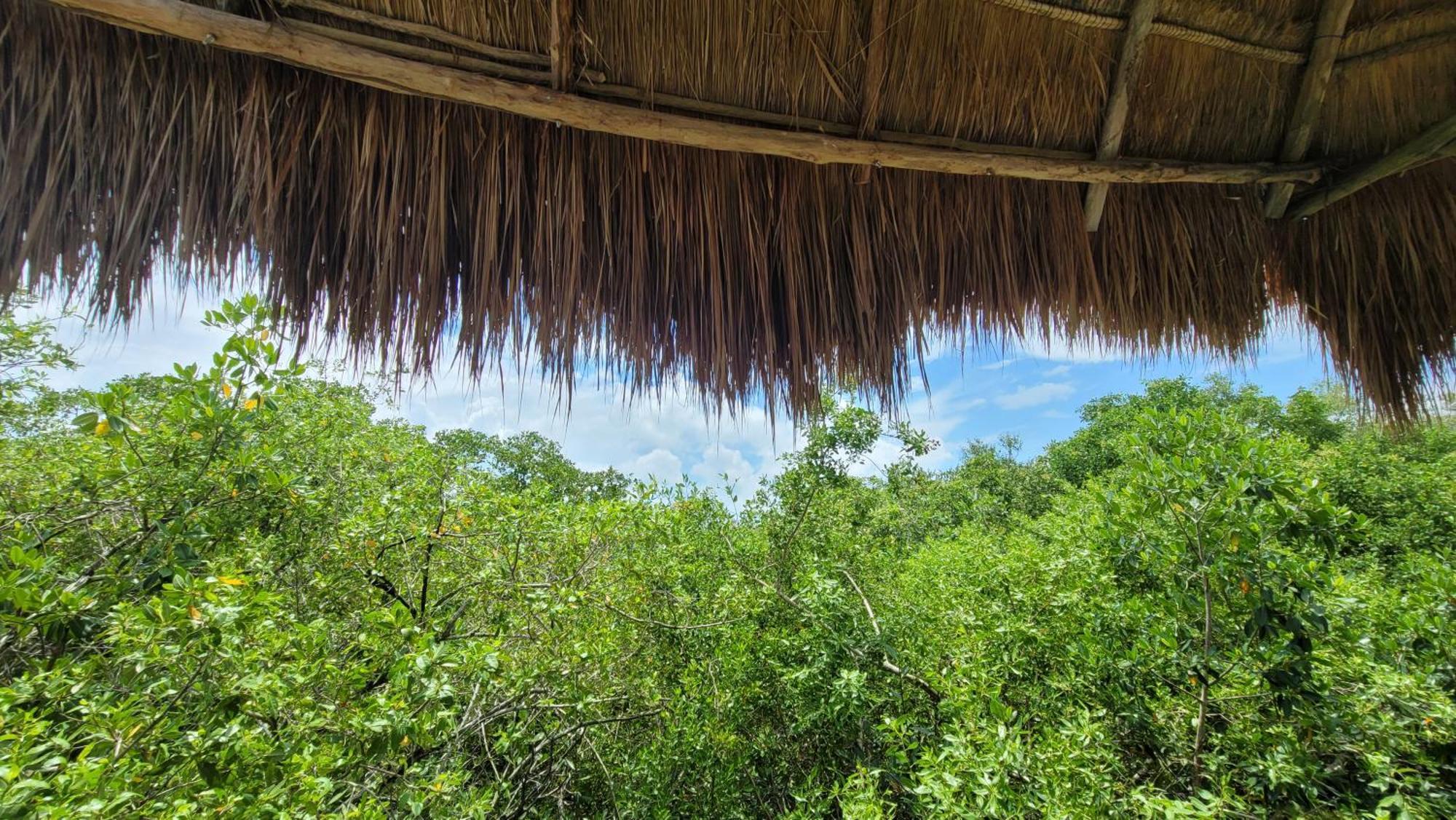 Hotel Cormoran Tulum & Cenote Екстер'єр фото